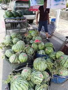 康县老头吃瓜事件,一场引发社会关注的网络风波  第1张